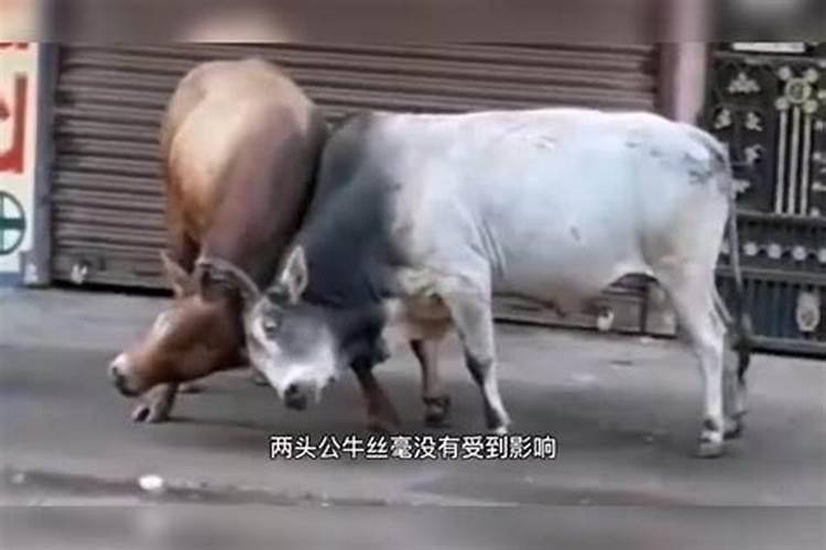 如何查自己八字命格
