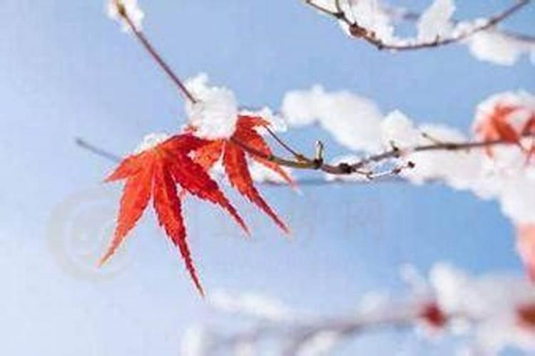 腊月十四是几月几日