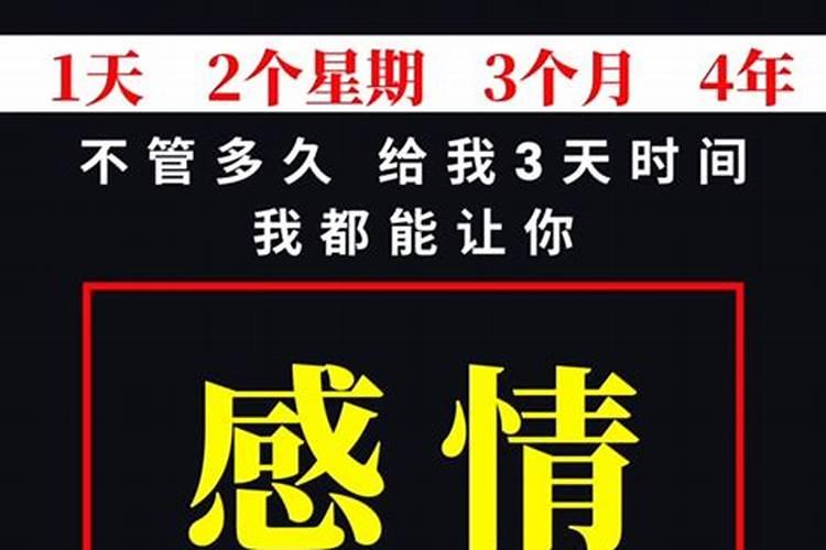 2025年属猪的财运和运气如何