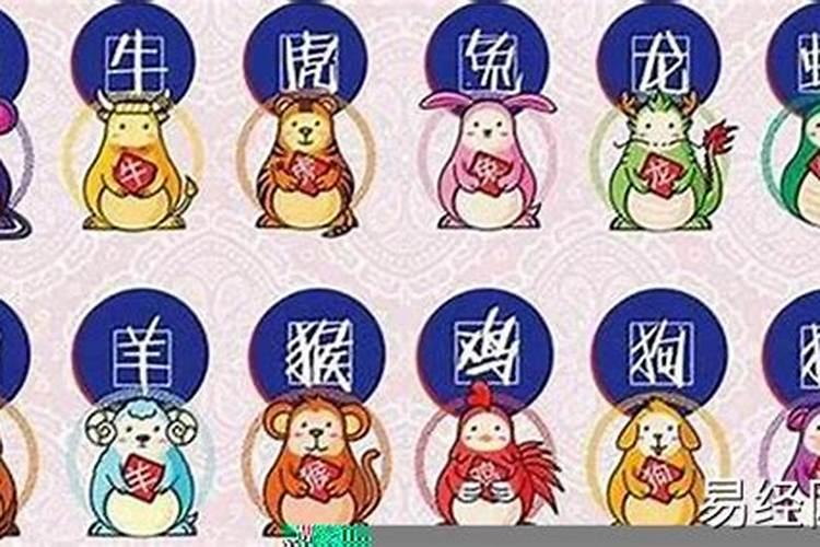 属羊的人今日运势360星座网