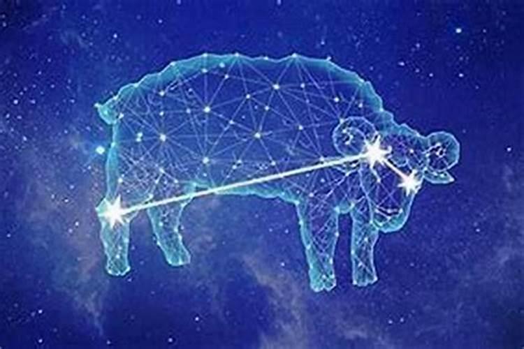 2025年犯太岁的生肖蛇怎么化解 2025年犯太岁的生肖蛇怎么躲星