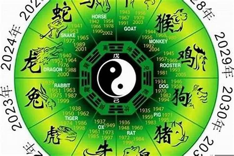84年2025年属鼠人的全年运势