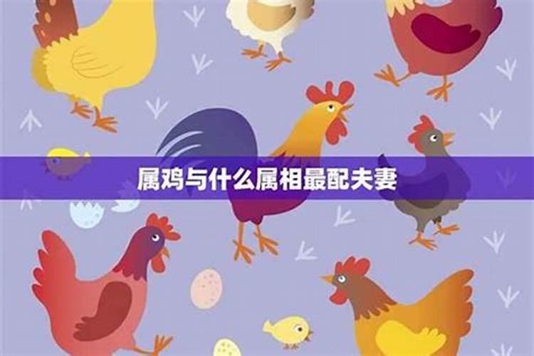 我是1986年农历九月初九晚上差5分钟12点的生日,请问命运如何？请帮忙...