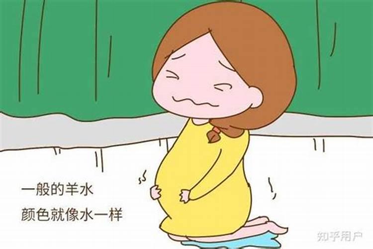 1982年的狗2025运势