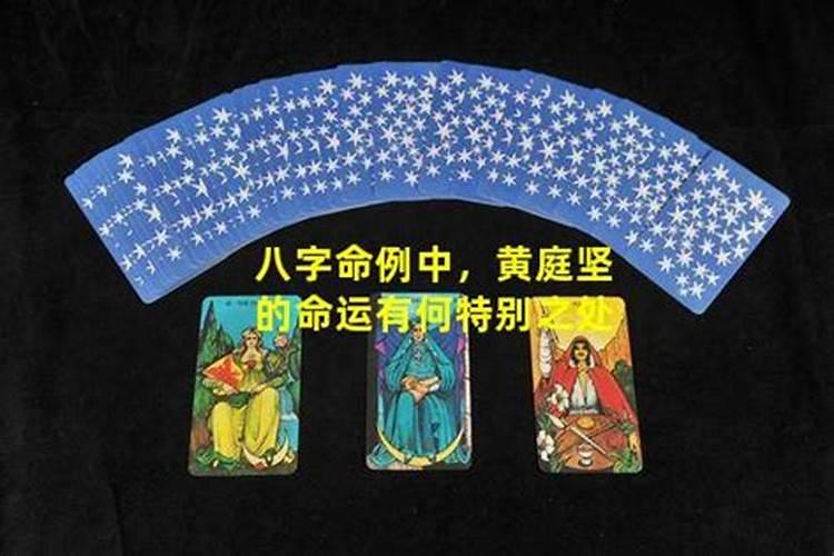 1990年属马2025年运势如何