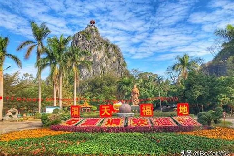 新中国成立以来,我国龙眼生产和科学研究取得哪些进展与存在的问题？