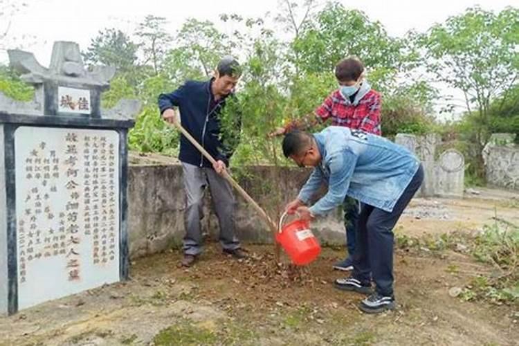 89年属蛇2024全年运势及每月运势