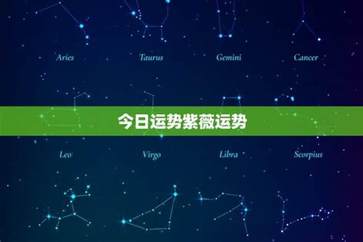 白羊紫薇今日运势,白羊紫薇科技今日运势查询