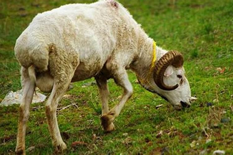 七七年蛇女2023年每月运势,77年属蛇44岁运势