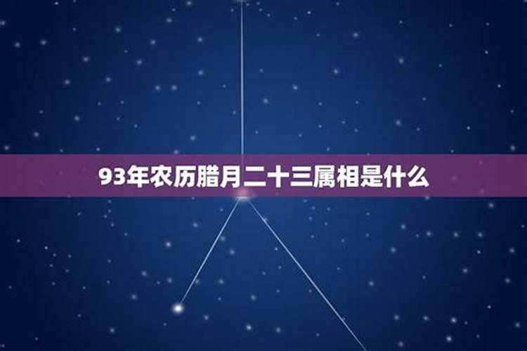 1993年阴历腊月22早上5点半出生什么命