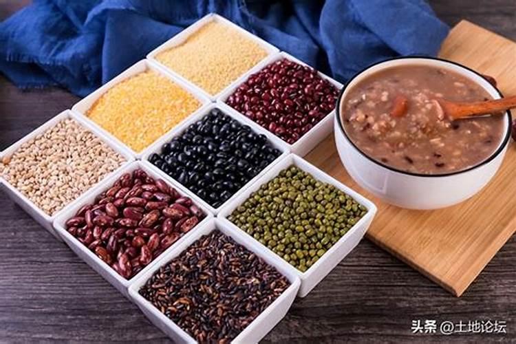 94年狗2025年的运势