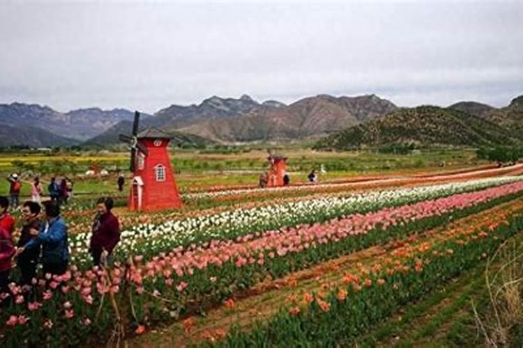 山西端午旅游推荐端午节去山西玩什么