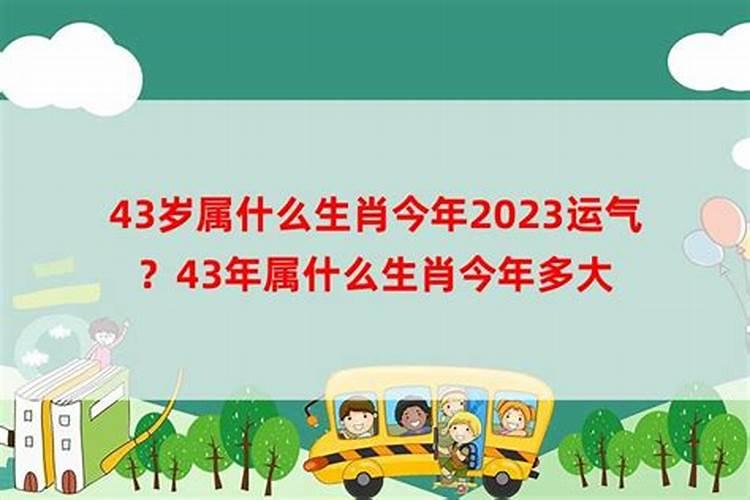 生肖羊43出生2025年几岁了