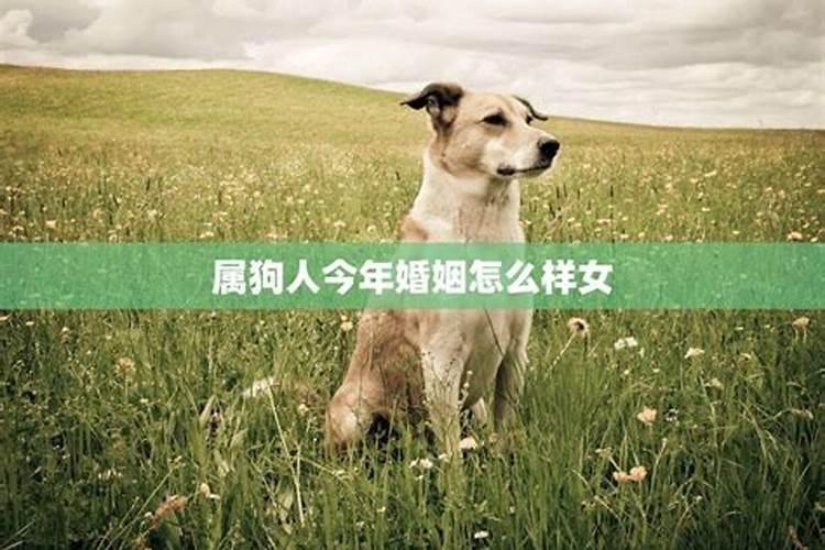 为什么有的人命里晚婚配偶星在时柱上适合晚婚