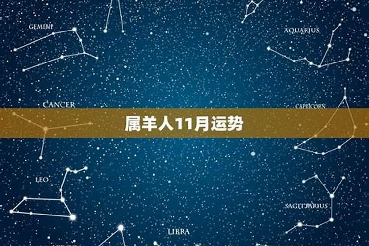 2025属羊人全年12个月运势