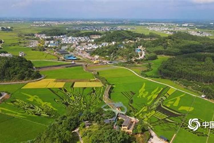广西有哪些传统节日,它们各有什么民情民俗生动