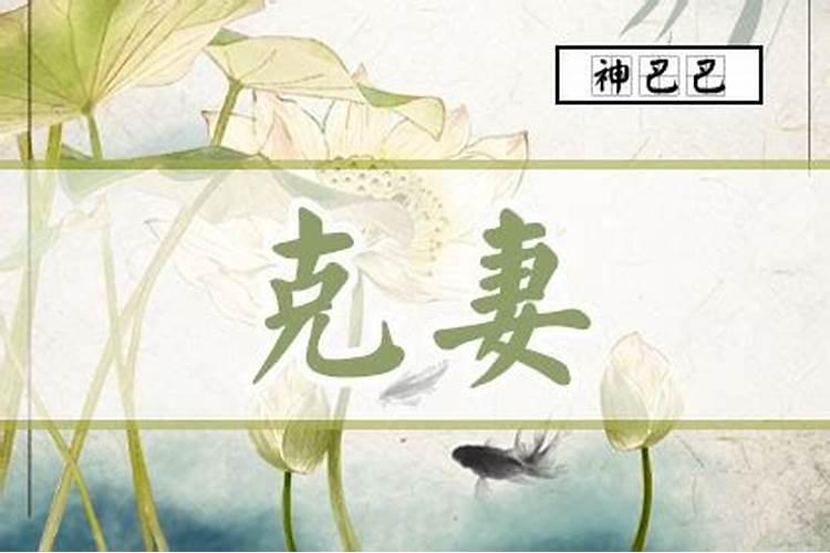 属猪2025年犯太岁怎么化解