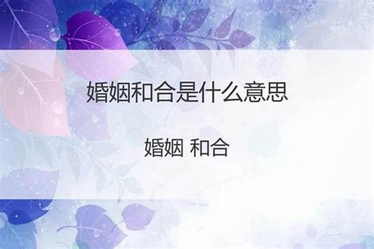 2025年12生肖运势解析