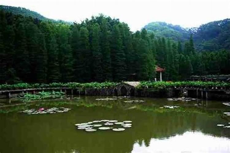 大中型人工湖水体驳岸施工技术？