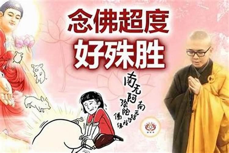 大槐树寻根祭祖园槐树庄牌坊地址在哪里？