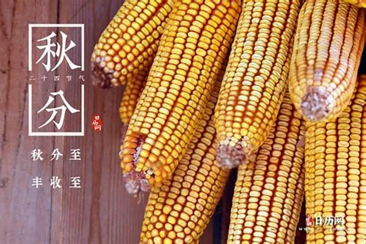 2025犯太岁五大生肖属相