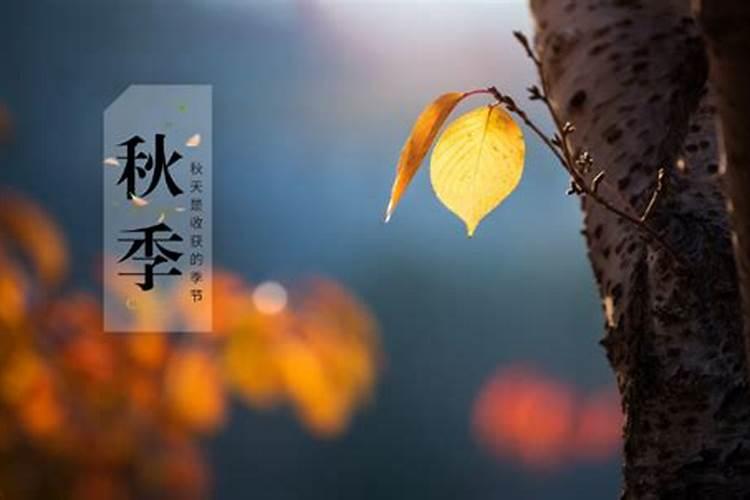 2025年太岁年有哪些属相