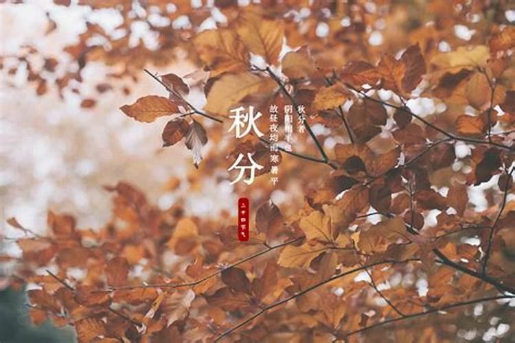 2025年属相犯太岁的有哪些