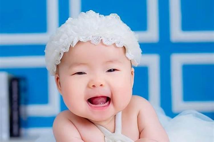 生肖狗2025年运势及运程如何