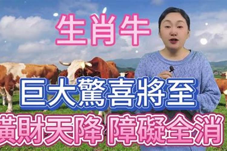 77年属蛇2025年运势及运程