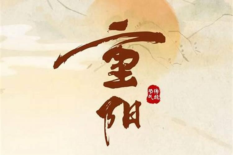 春夏秋冬季季特 是什么生肖
