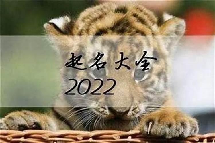 2025立春注意事项及禁忌是什么