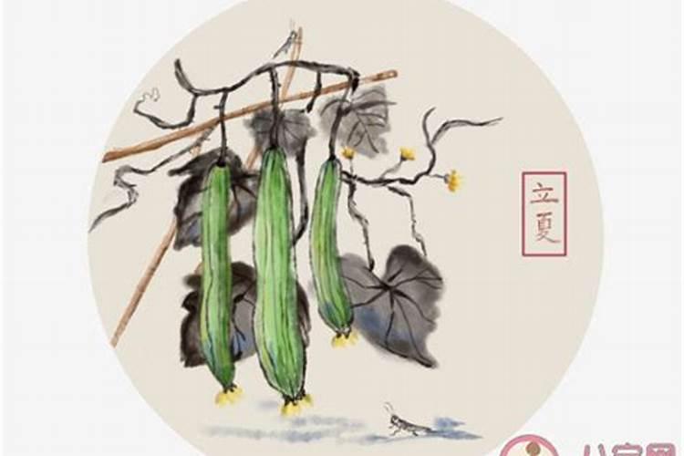 2025年立春有什么讲究和注意事项