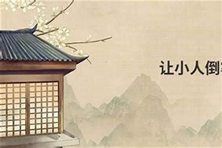 80年的猴2025每月运势