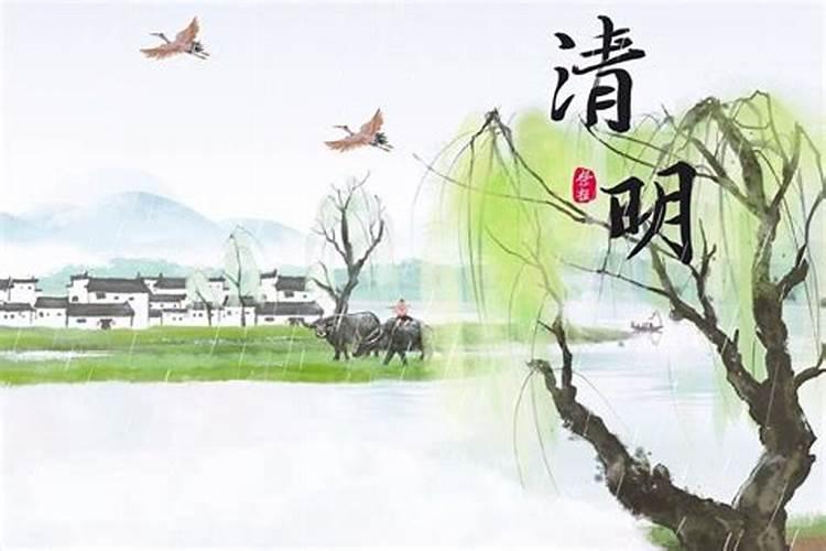 重阳节的由来和风俗简介？