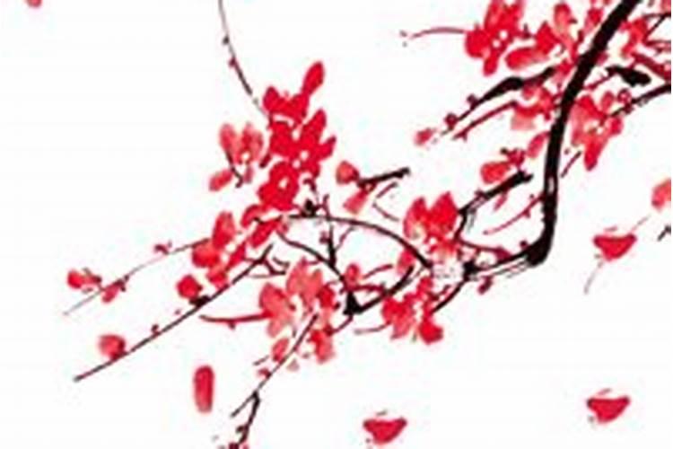 在周口市夜市中,有哪些高人气的小吃值得品尝？