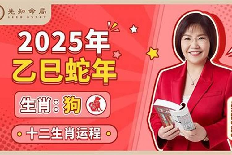 1966年属马人2025年运势如何