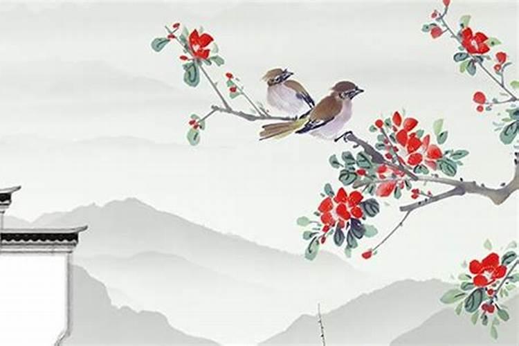 属猪人佩戴什么旺自己