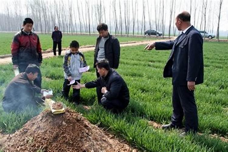 63年的兔2025年的运势怎么样