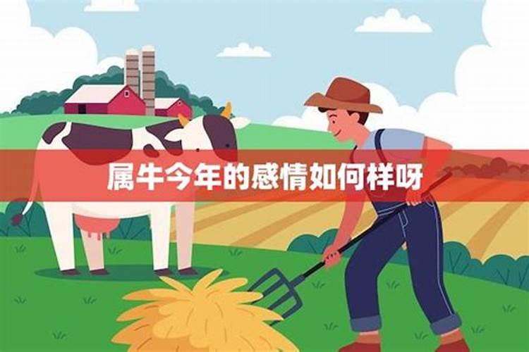 79年属羊45岁2025年运势