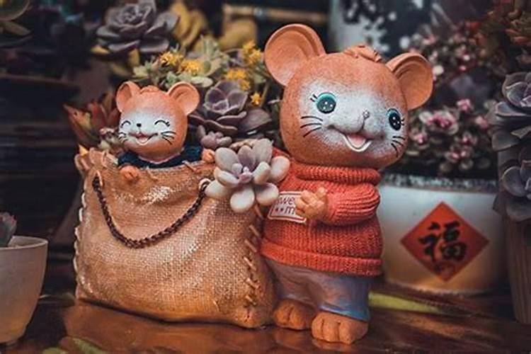 72年属鼠2025年运势及运程每月运程