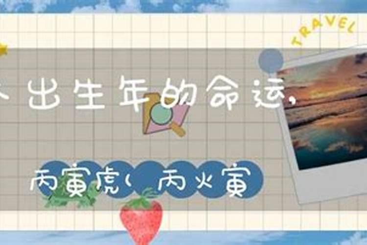 我是1986/11/29(公历) 丙寅年 己亥月 丁丑日 己巳时出生的 命运如何...