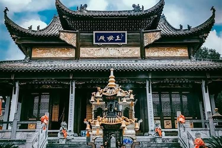 浙江有棵1500岁高龄的大树,身上挂满吊针,这是什么原因？