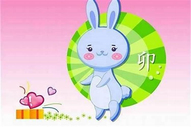属兔2025年运势及运程详解