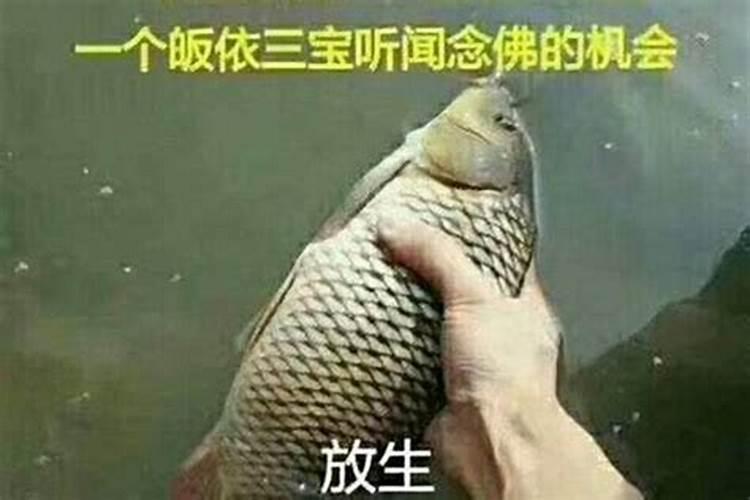 四川广元气候如何