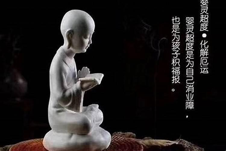 属马人哪一年犯太岁最严重,各方面运势如何