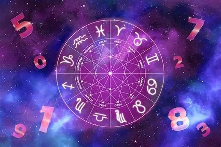 2025属羊运势完整版