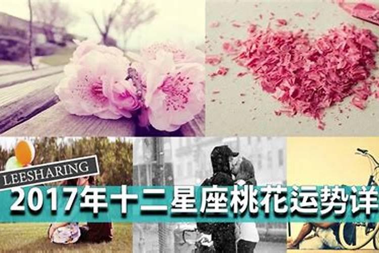祈福!十二星座重阳佳节运势攻略