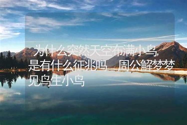 梦见一群大白鸟的预兆