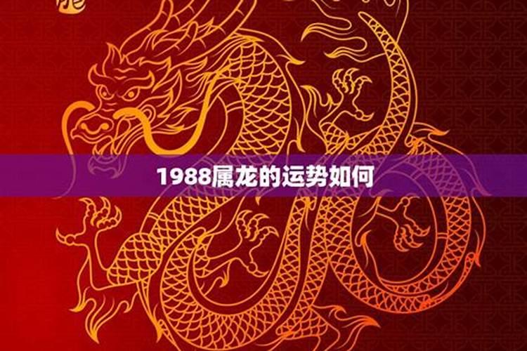 1988年2025年属龙人的全年运势