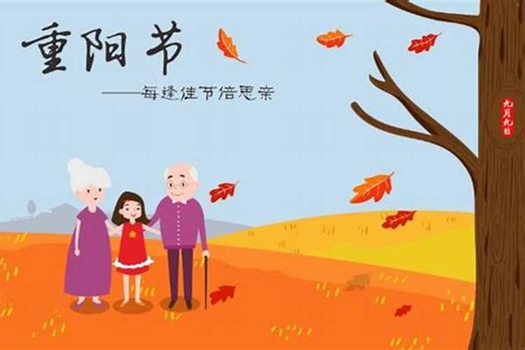 幼儿教师的教育理念